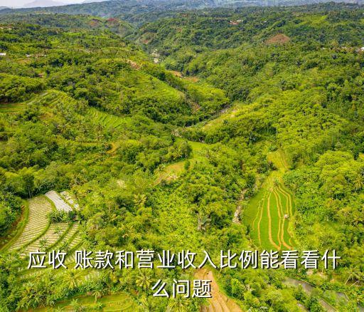  應收 賬款和營業(yè)收入比例能看看什么問題