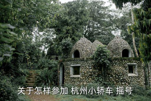 關(guān)于怎樣參加 杭州小轎車 搖號