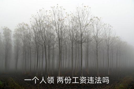 一個(gè)人能不能簽兩份勞動(dòng)合同,一個(gè)員工簽兩家公司勞動(dòng)協(xié)議