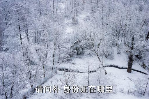 身份證在哪補(bǔ)辦,閔行區(qū)顓橋鎮(zhèn)身份證在哪補(bǔ)辦