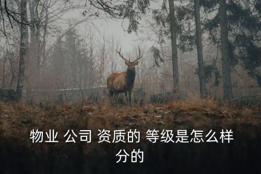  物業(yè) 公司 資質(zhì)的 等級(jí)是怎么樣分的