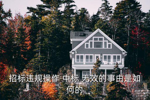 中標(biāo)無效由誰認(rèn)定