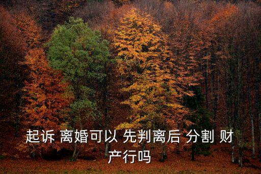 先判離婚再分割財(cái)產(chǎn)的利弊,離婚律師能調(diào)取哪些出軌證據(jù)