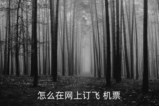 定機(jī)票