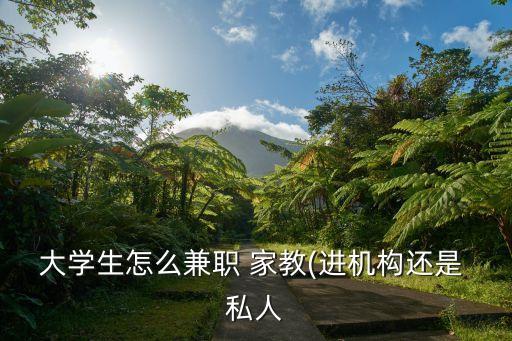 我的私人家教,一對一上門家教怎么找