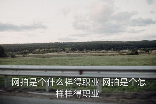 網(wǎng)拍什么意思,a 平臺(tái)寄拍可靠嗎