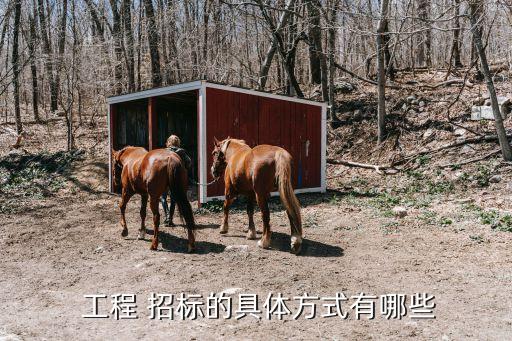  工程 招標(biāo)的具體方式有哪些