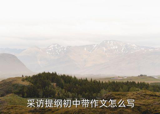  采訪提綱初中帶作文怎么寫(xiě)