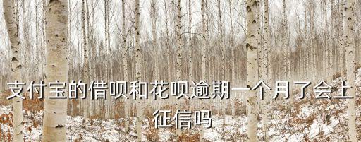 花唄借唄上征信嗎,花唄是網(wǎng)貸嗎?會(huì)上征信嗎