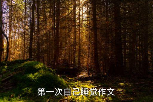 我把媽媽睡了,我生命中的第一個女人是母親