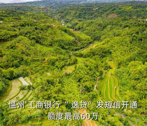 溫州 工商銀行“ 逸貸”發(fā)短信開通額度最高60萬