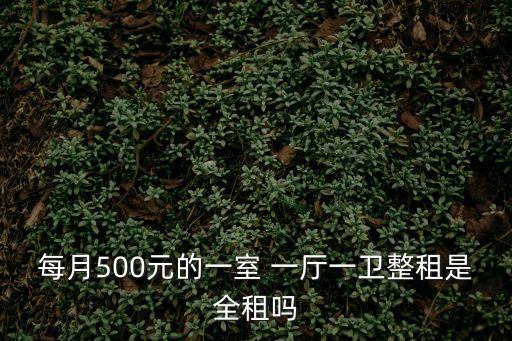 每月500元的一室 一廳一衛(wèi)整租是全租嗎