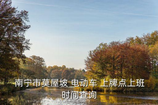 南寧電動車上牌