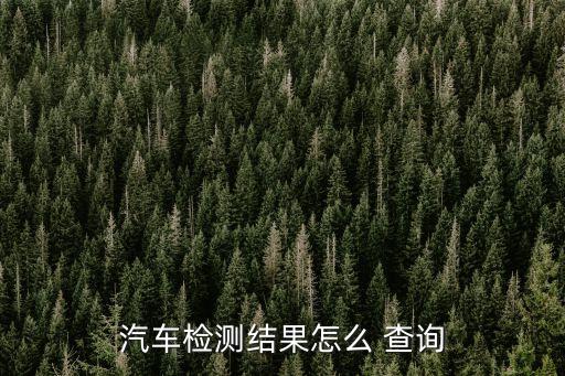 汽車檢測結(jié)果怎么 查詢