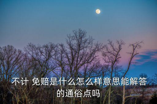  不計 免賠是什么怎么樣意思能解答的通俗點嗎