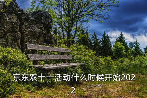 京東雙11