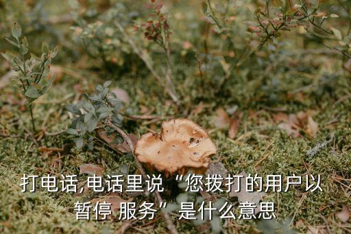打電話,電話里說“您撥打的用戶以 暫停 服務(wù)”是什么意思