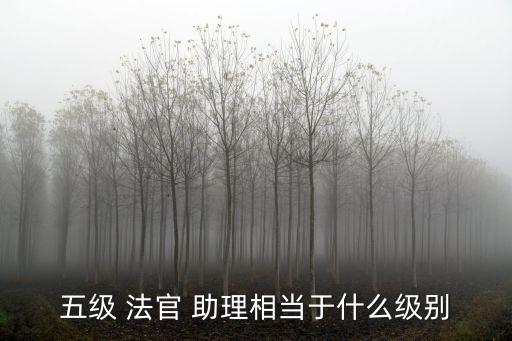 法官助理工作職責(zé),執(zhí)行局法官助理工作職責(zé)