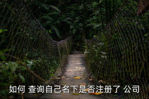 公司注冊(cè)查詢,柬埔寨公司注冊(cè)查詢