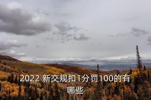 2022 新交規(guī)扣1分罰100的有哪些
