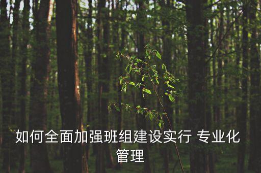 如何全面加強(qiáng)班組建設(shè)實(shí)行 專業(yè)化 管理
