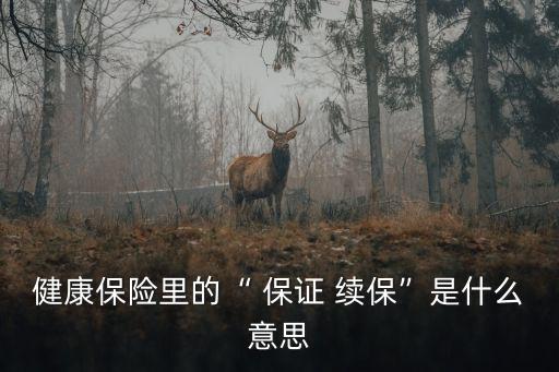 健康保險(xiǎn)里的“ 保證 續(xù)?！笔鞘裁匆馑? class=