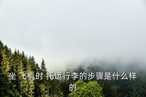 坐 飛機(jī)時(shí) 托運(yùn)行李的步驟是什么樣的