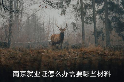 南京市人社局