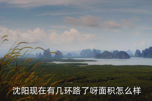  沈陽現(xiàn)在有幾環(huán)路了呀面積怎么樣