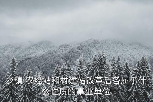 農(nóng)經(jīng)站