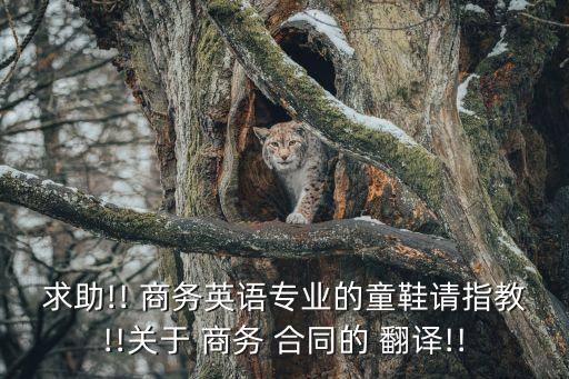 商務(wù)合同翻譯原則