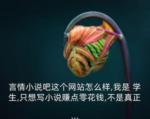 言情小說吧這個(gè)網(wǎng)站怎么樣,我是 學(xué)生,只想寫小說賺點(diǎn)零花錢,不是真正...