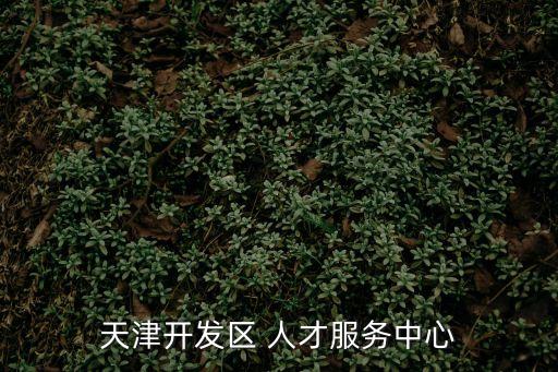 天津開發(fā)區(qū) 人才服務中心