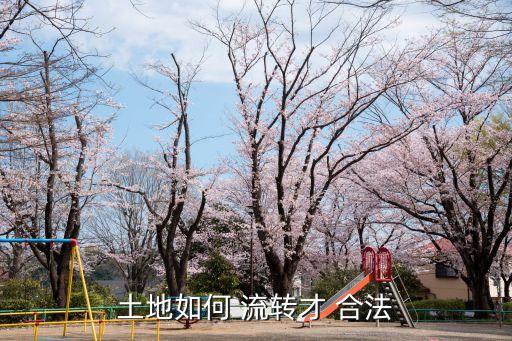 和農(nóng)戶簽訂的土地流轉(zhuǎn)合同合法嗎,簽訂土地流轉(zhuǎn)合同需要哪些程序