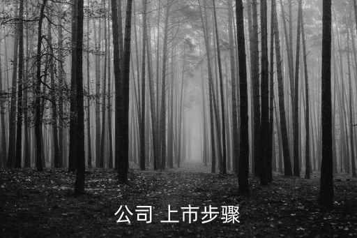 上市流程,北京央產(chǎn)房上市流程