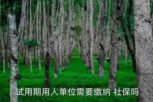 試用期有社保嗎,員工試用期需要繳納五險一金嗎