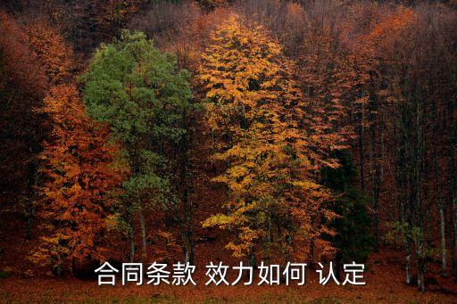 合同效力認(rèn)定 法律法規(guī),房屋定購(gòu)合同有法規(guī)效力嗎