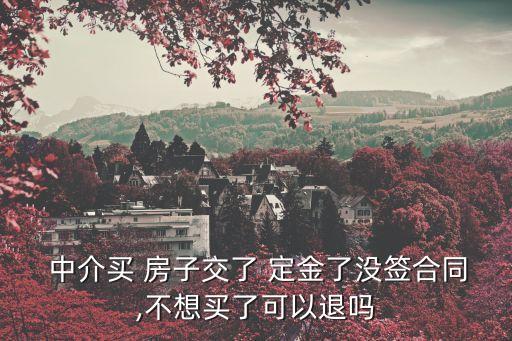在房子中介交的定金可以退嗎,交了定金中介把房子賣了怎么辦