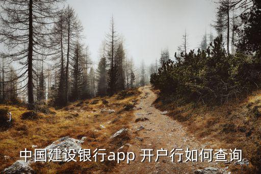 建行怎么查開戶行