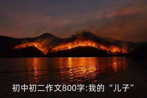 兒子打父親犯法嗎,怎樣慢性殺了父親