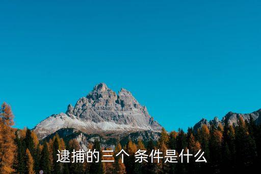  逮捕的三個 條件是什么