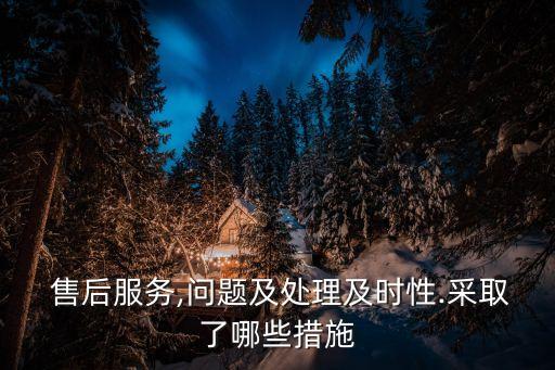  售后服務,問題及處理及時性.采取了哪些措施