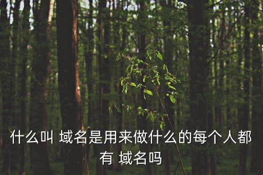 什么叫 域名是用來做什么的每個人都有 域名嗎