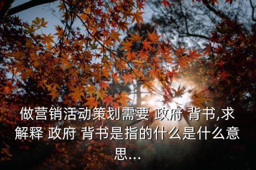 做營銷活動策劃需要 政府 背書,求解釋 政府 背書是指的什么是什么意思...