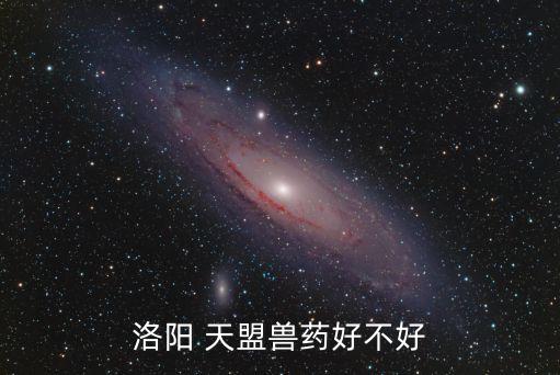 天盟