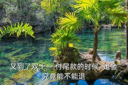 又到了雙十一 付尾款的時候, 定金究竟能不能退