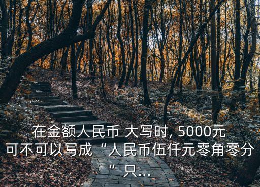 5000大寫,735000大寫