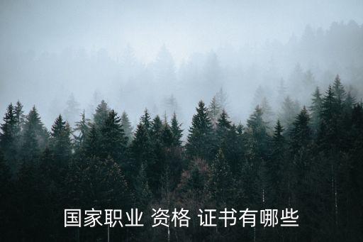 資格證書有哪些,人社廳的職業(yè)資格證書有哪些