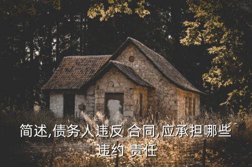 合同不履行的違約責(zé)任,合同瑕疵履行的違約責(zé)任