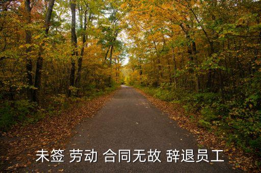 未簽 勞動(dòng) 合同無(wú)故 辭退員工